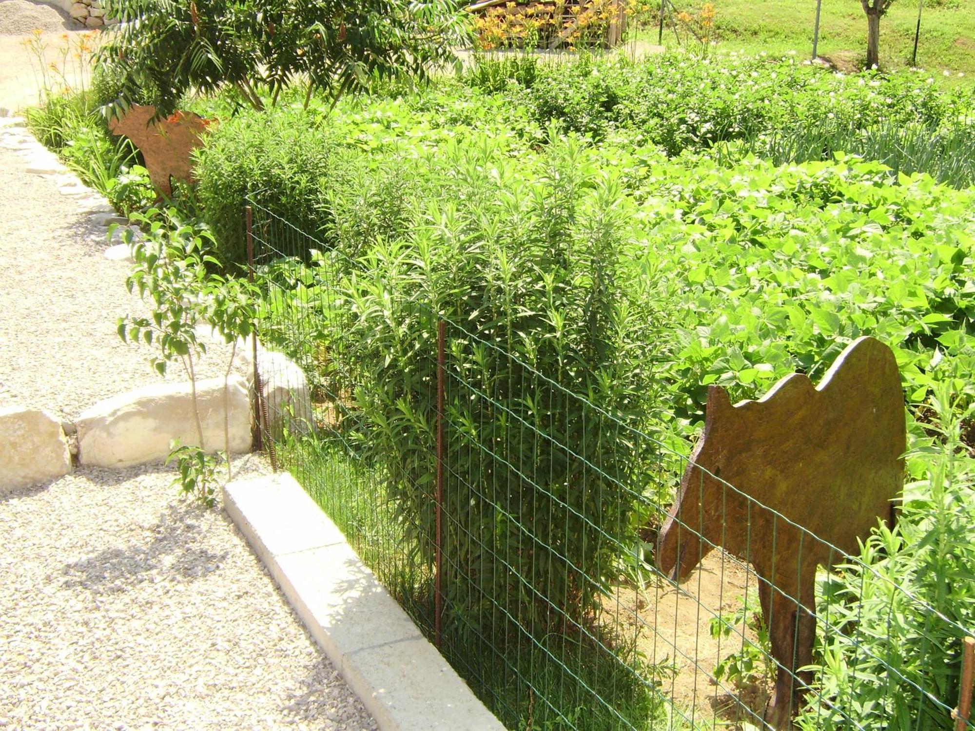 House Osana Hotel กราโบวาซ ภายนอก รูปภาพ
